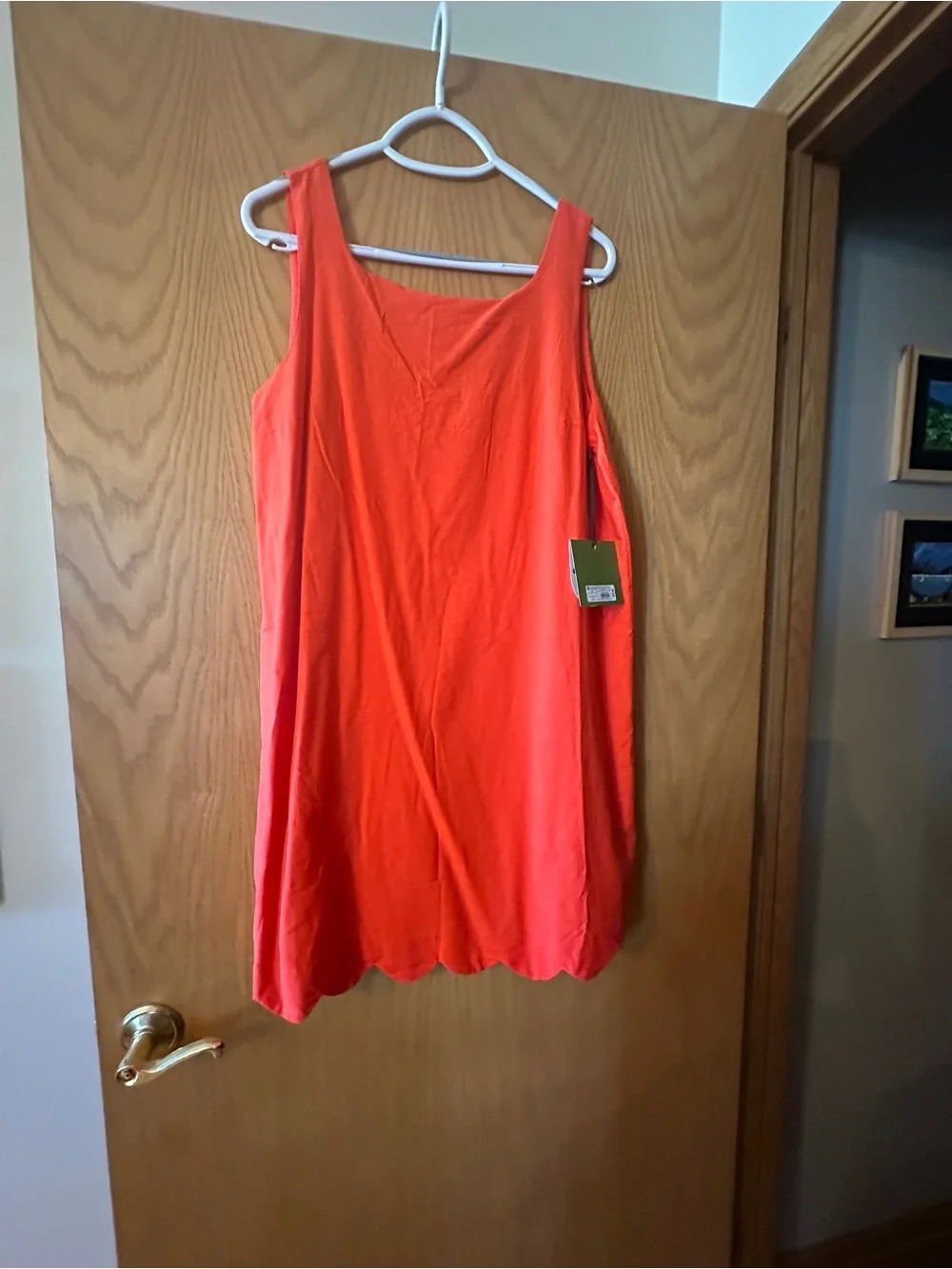 kate spade Sleeveless Scallop-Hem Camisole Dress in Bright Coral